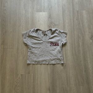Grey UPenn Crop Top Womens s/m Vneck